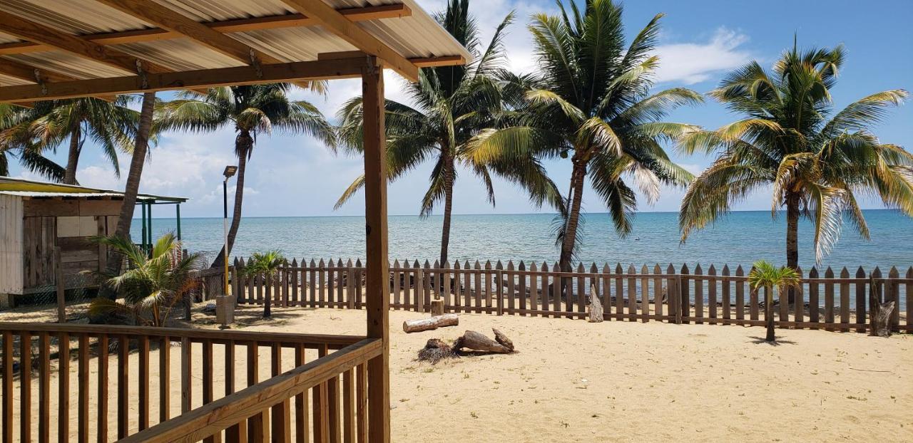 Pal'S On The Beach - Dangriga, Belize Ngoại thất bức ảnh