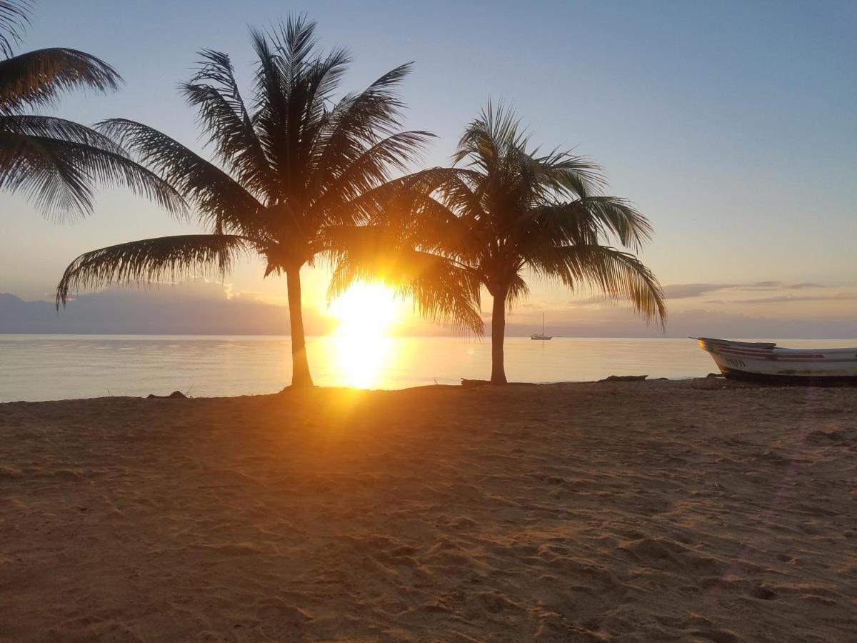 Pal'S On The Beach - Dangriga, Belize Ngoại thất bức ảnh
