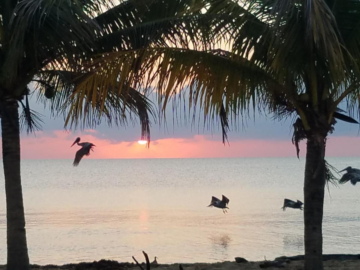 Pal'S On The Beach - Dangriga, Belize Ngoại thất bức ảnh