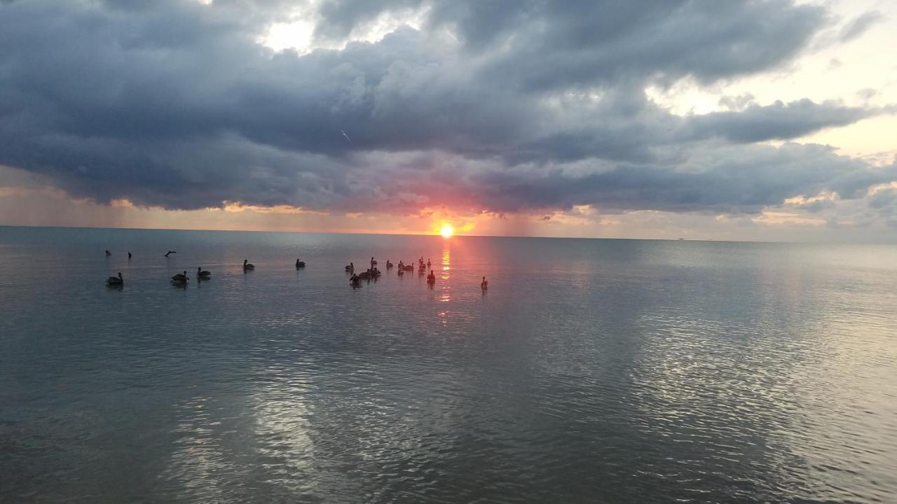Pal'S On The Beach - Dangriga, Belize Ngoại thất bức ảnh