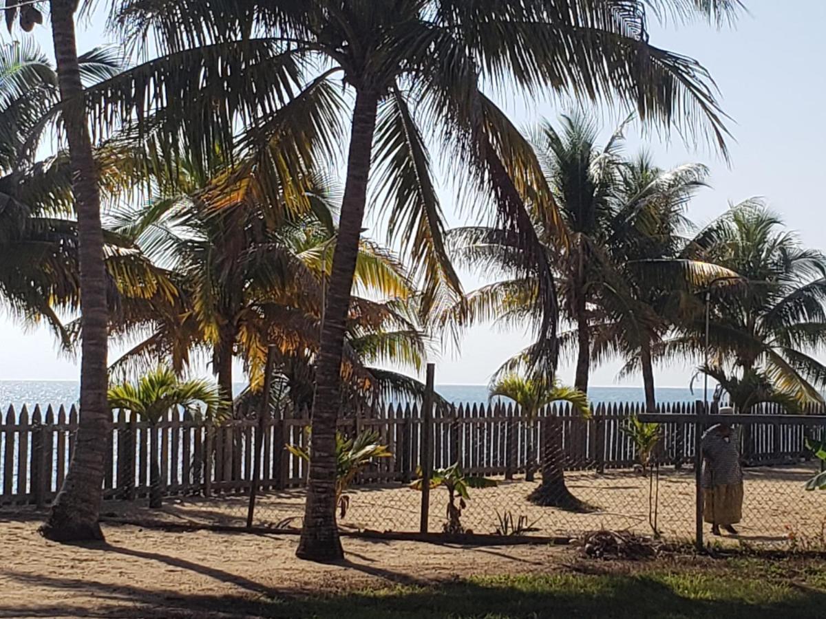 Pal'S On The Beach - Dangriga, Belize Ngoại thất bức ảnh